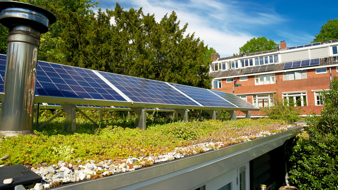 Zeleni krovovi, sigurnost i kontrola hidroizolacije